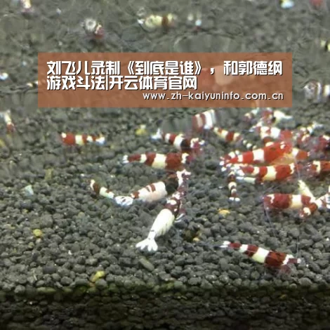 刘飞儿录制《到底是谁》，和郭德纲游戏斗法|开云体育官网