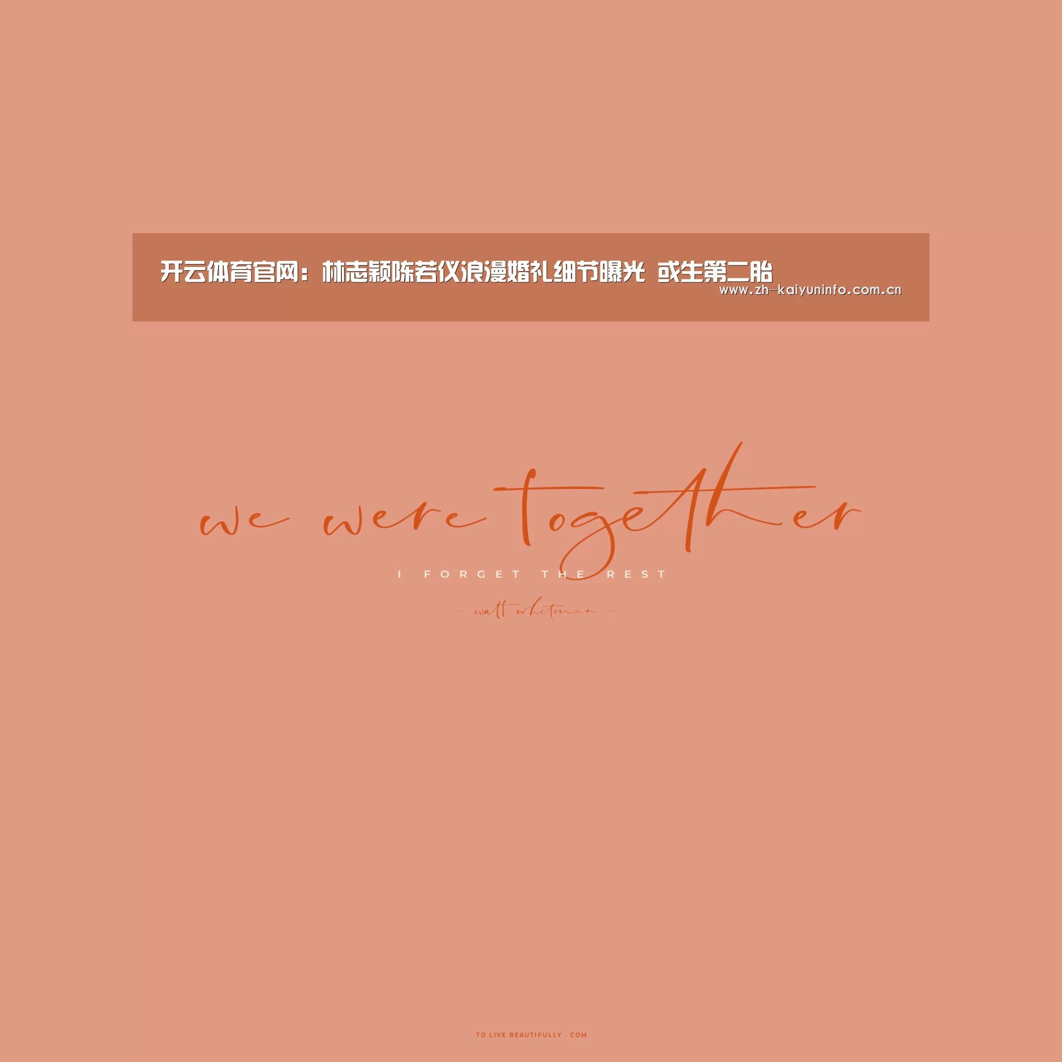 开云体育官网：林志颖陈若仪浪漫婚礼细节曝光  或生第二胎